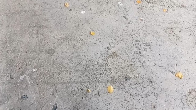 上传视频
