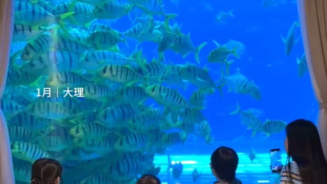 亲子旅行