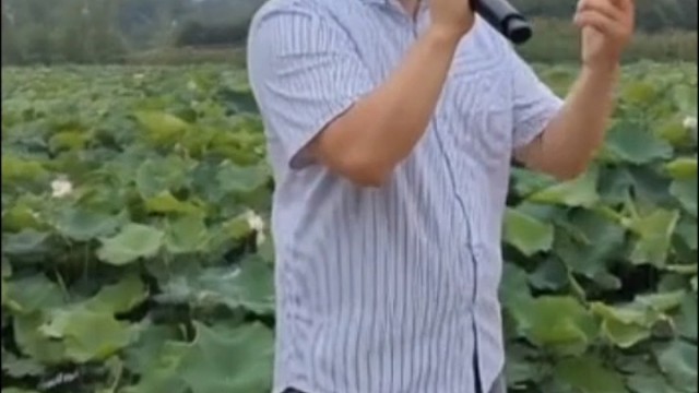 老歌好听