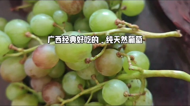 广西纯天然葡萄跟特产