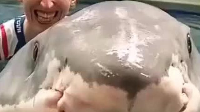 抱着鲨鱼合照，突然看见手指，悬着的心终于放下了