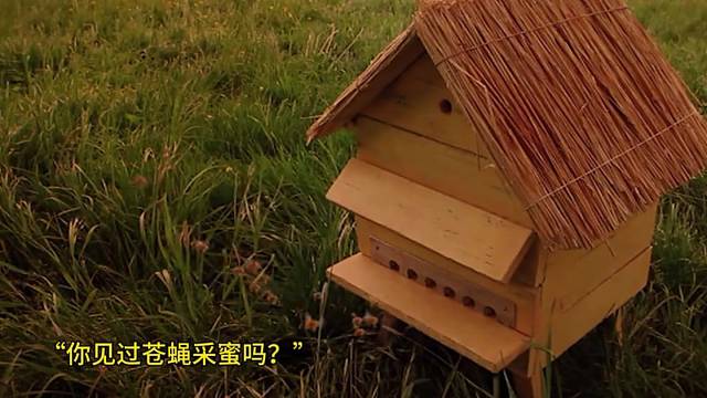 这才是孩子该看的纪录片，假期适合陪孩子一起看，轻松解压又涨知识