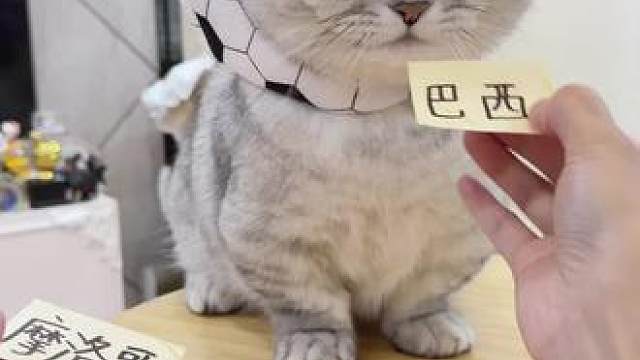 巴西不赢我就吃了他