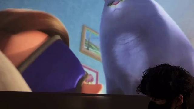 你家的小猫咪会叫你起床吗#爱宠大机密