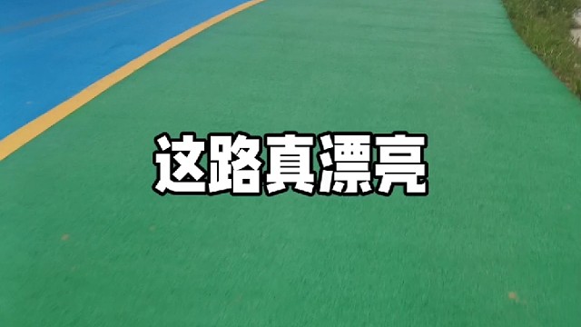 风里雨里八哥在岛上等你