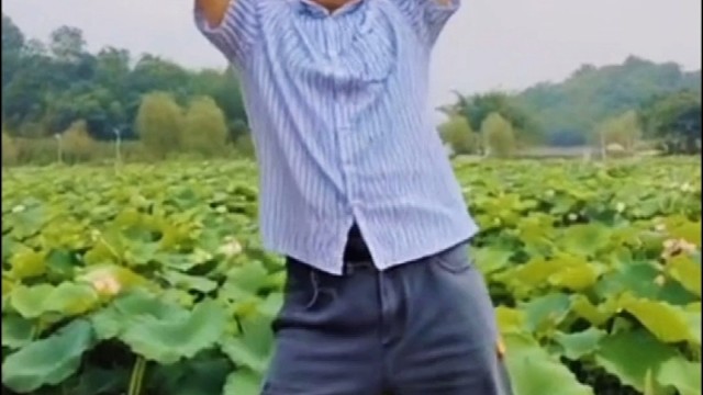 肥仔也能跳舞