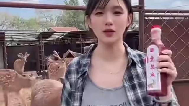 它是不是喝了