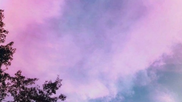 词记不全
