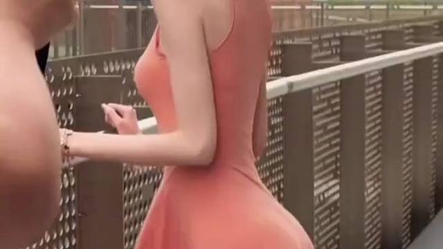 春风知我意，可惜狗不会