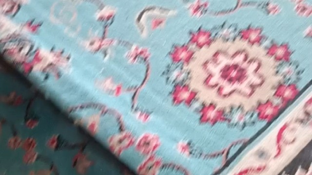 我家2只猫咪早上上班之前