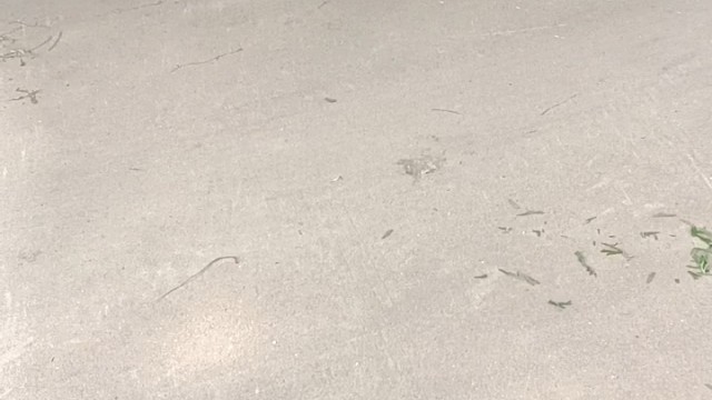 上传视频