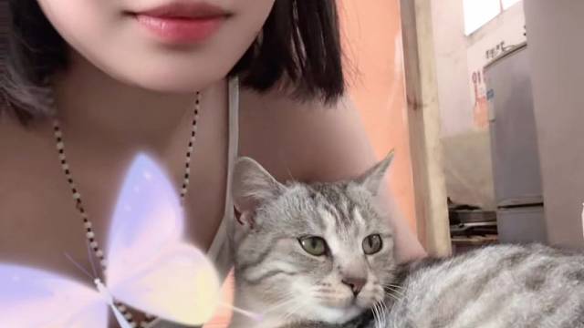 我可爱的小猫咪