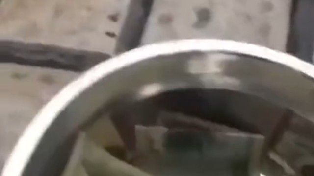 接档饿死了加班一会