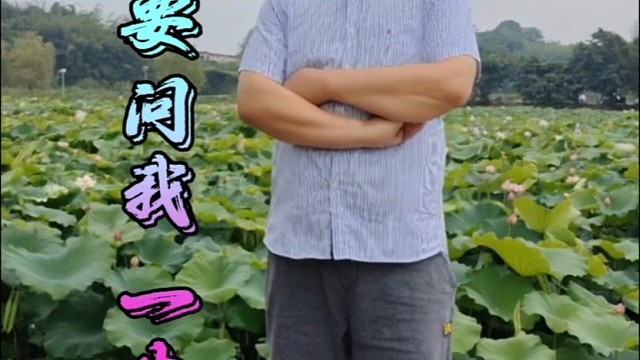 歌曲