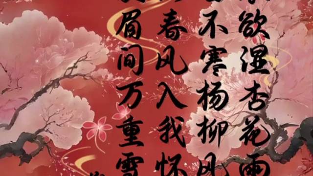 敬·最美的夜姐