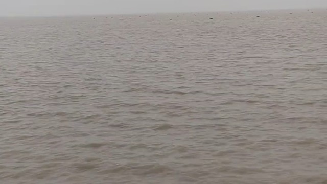 看海
