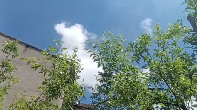 累一天 笑一天 傻一天 萌一天 懵一天 蠢一天 躺一天 天天不一样