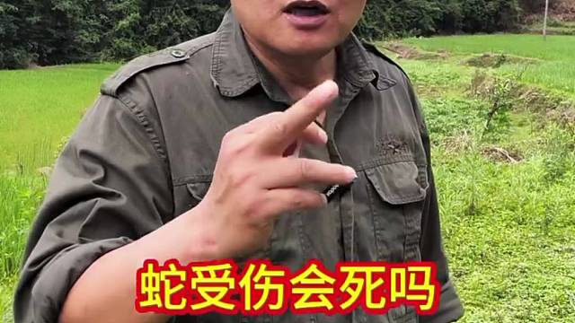蛇受伤会死吗