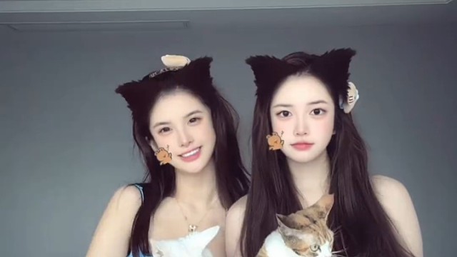 被迫营业两小只 #猫咪闺蜜照 #猫系闺蜜