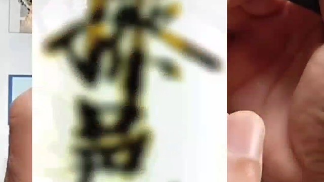 理论家和实践家是有区别的吗 ？