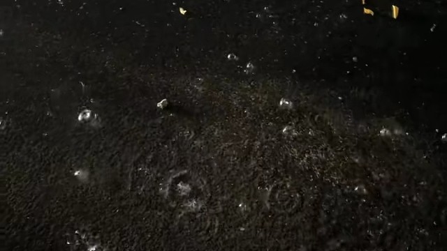 接受这世间的分道扬镳和事与愿违，尽我所能，敬我所不能