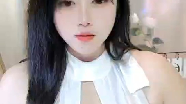 爱你就像飞蛾扑火