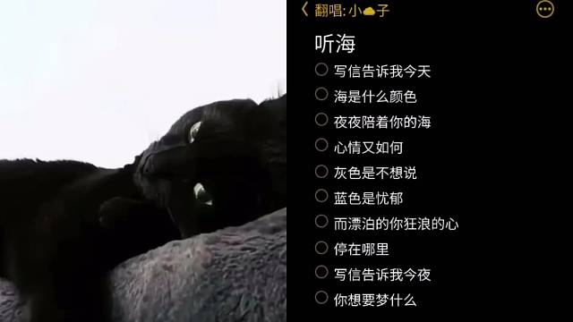听海