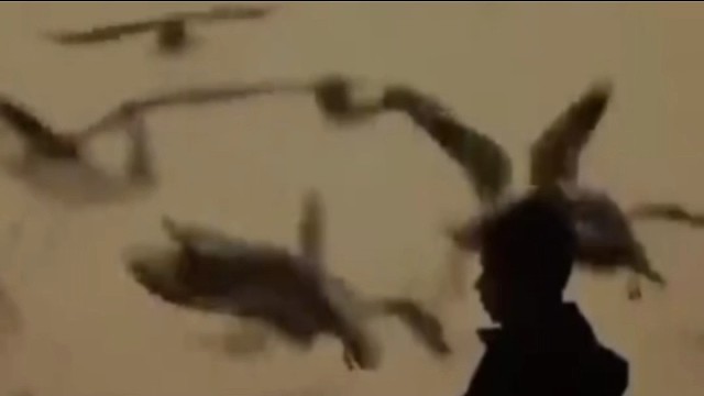 暗自喜欢是一场独角戏，主角左顾右盼中耗尽心力