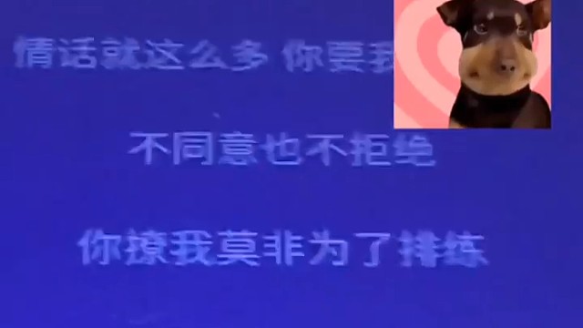 备胎日记