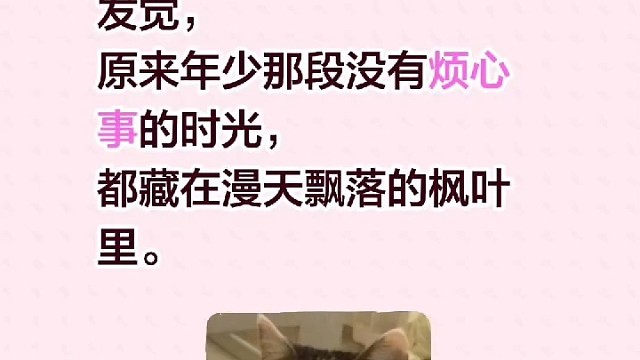 少年的时光都是枫叶大陆