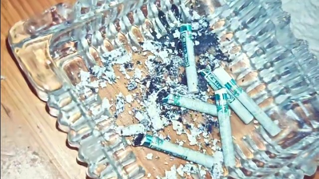 又来偷看我了