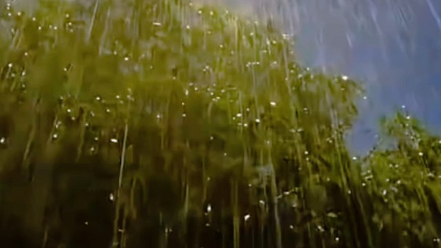 求安慰