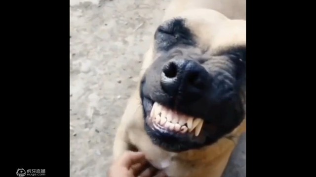 哈哈哈哈