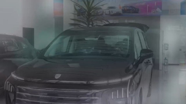 星海V9家用版#27款星海V9上市豪华增配一部到位 #昆明风行自营店