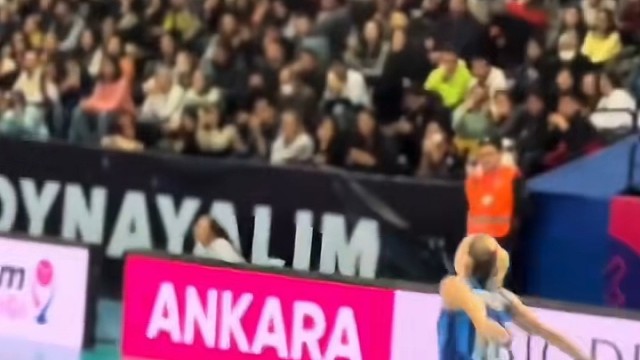看排球赛啦，现场氛围超燃，热血在沸腾！