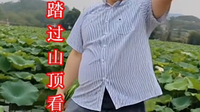 新歌