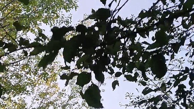 好心情出发