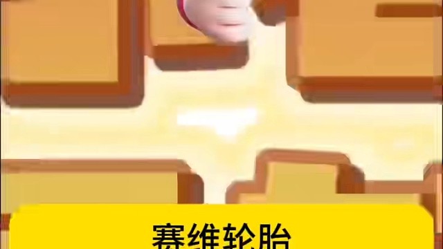 赛维轮胎
