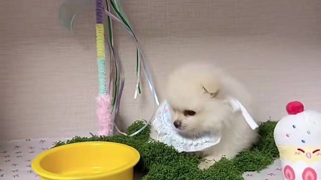 我发布了一个新视频，快来围观吧！