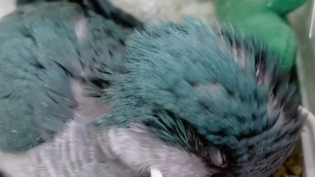 呵呵