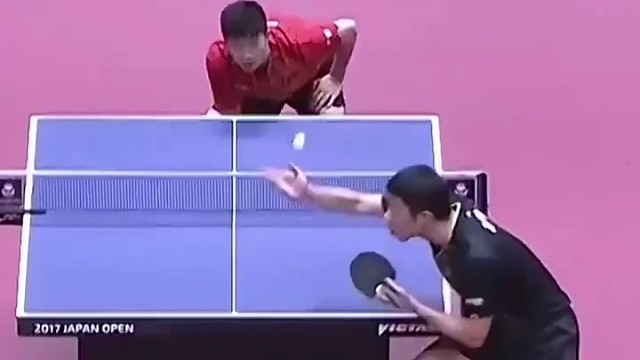 看这激烈的乒乓球对决，热血在赛场沸腾啦！