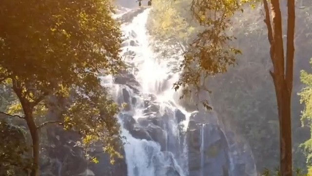 修心修行修性