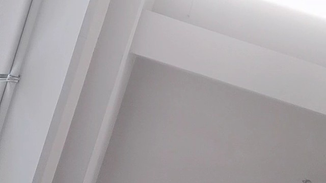 测试声明