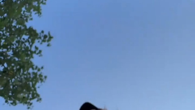 让我来宣传一波