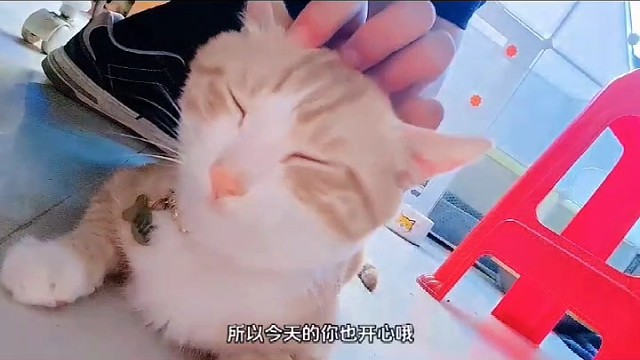 每天过的像限量版