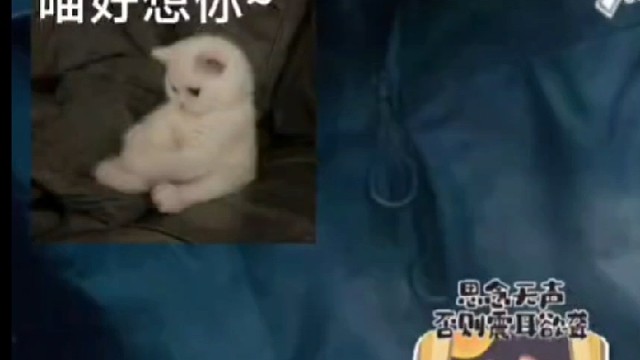 不如见一面