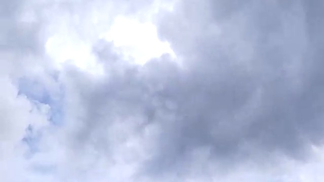 天上飞得是什么