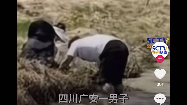 毒蛇咬伤