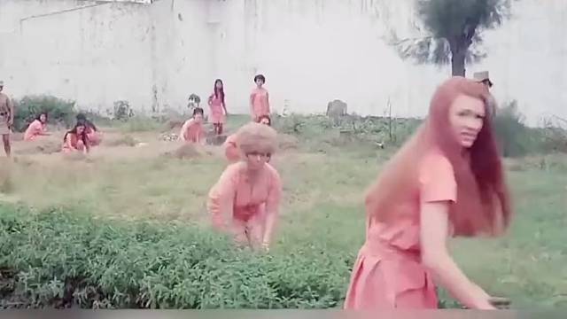不漂亮的这所监狱不要
