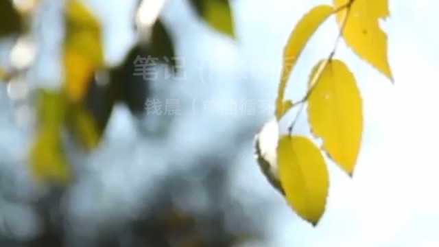 听喜欢的音乐